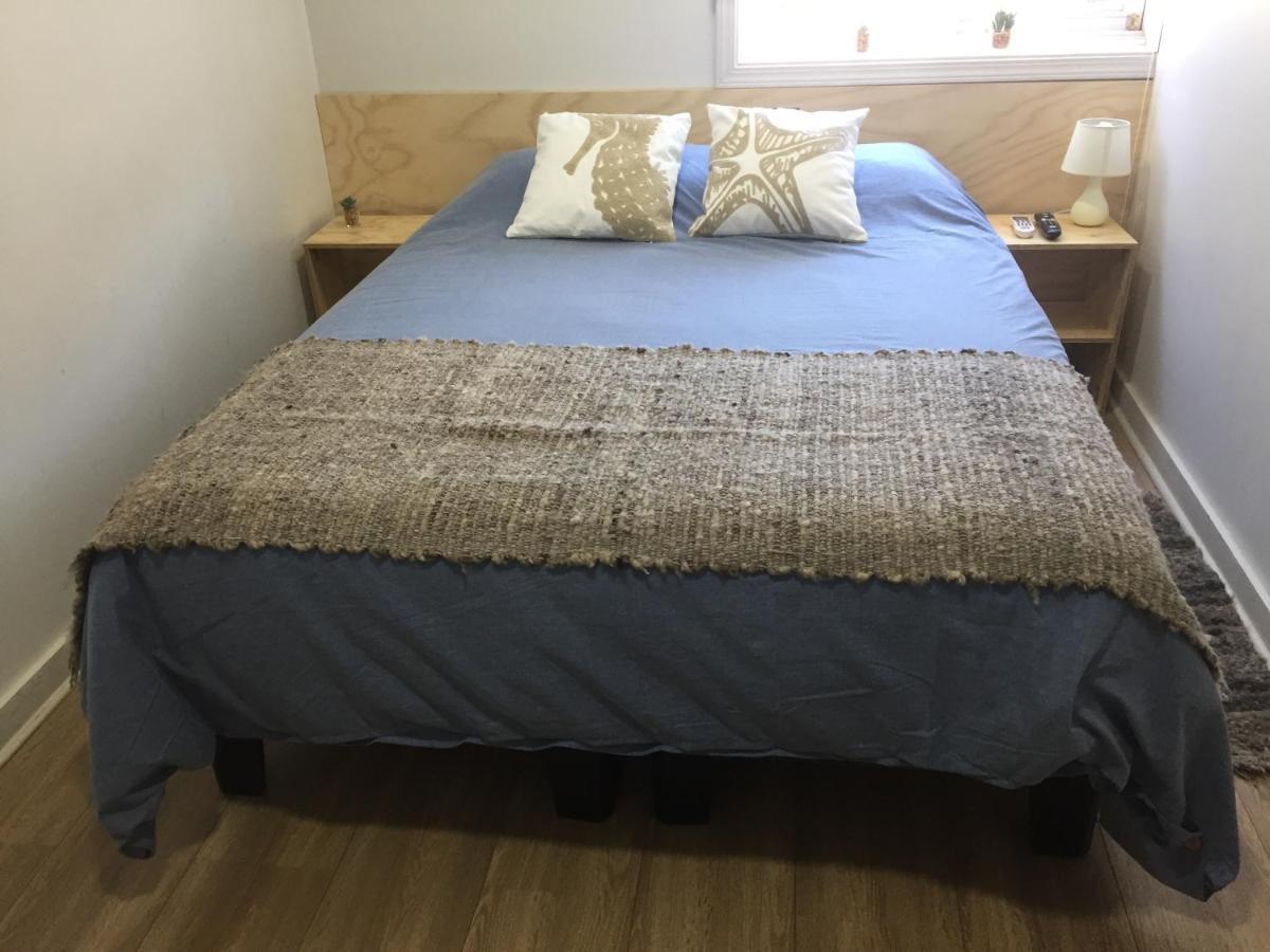 Hostal Ankatu 瓦尔迪维亚 外观 照片